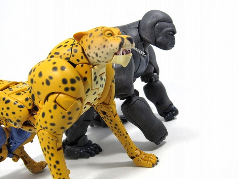 optimus primal and cheetor